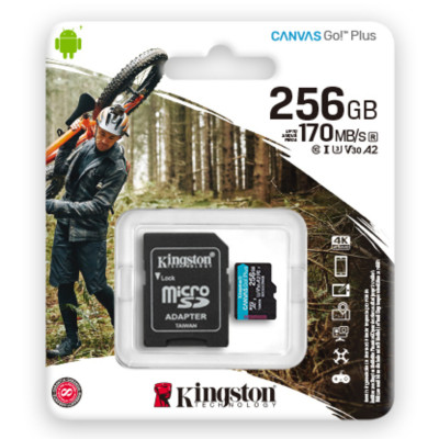 Kingston Canvas Go Plus 256Gb: надежная microSDXC для всеядного использования
