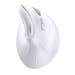 Маніпулятор миша бездротова UGREEN MU008 Multi-mode Vertical Mouse White