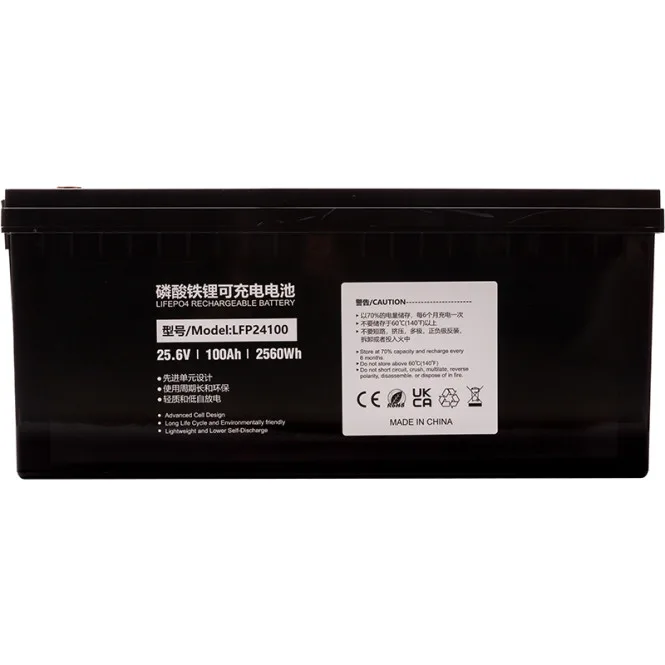 Акумулятор PowerPlant LiFePO4 24V 100Ah (LFP24100)